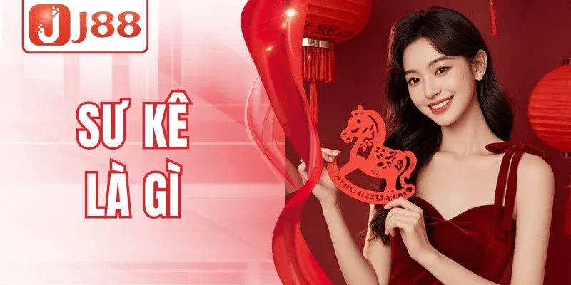 Sư Kê Là Gì – Hướng Dẫn Cho Người Mới Chơi Đá Gà J88